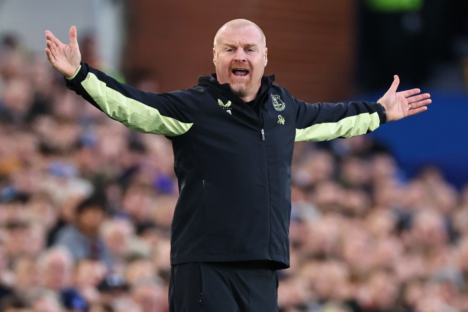 ‘I’ve had lots of offers’ – Former Everton manager Sean Dyche lands new job two months after Toffees sacking