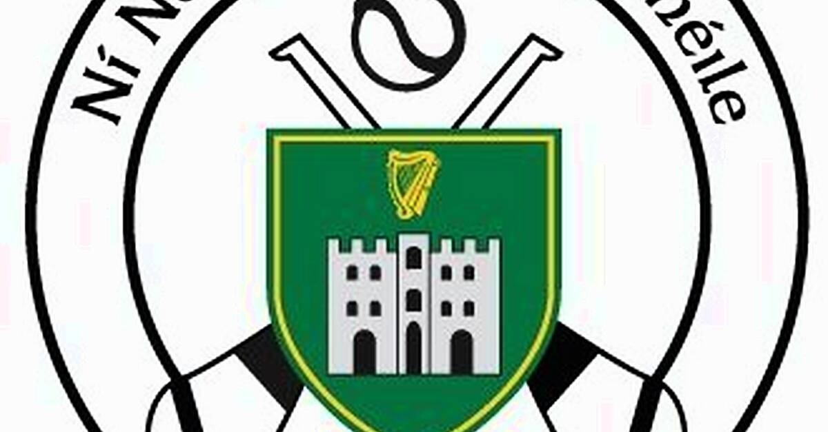 Tralee Parnells Hurling and Camogie notes