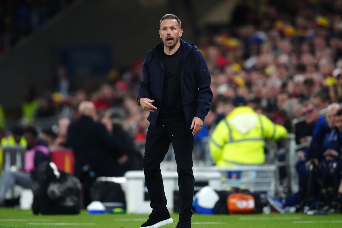 Wales’ Craig Bellamy suggests change to application of handball rule in Britain