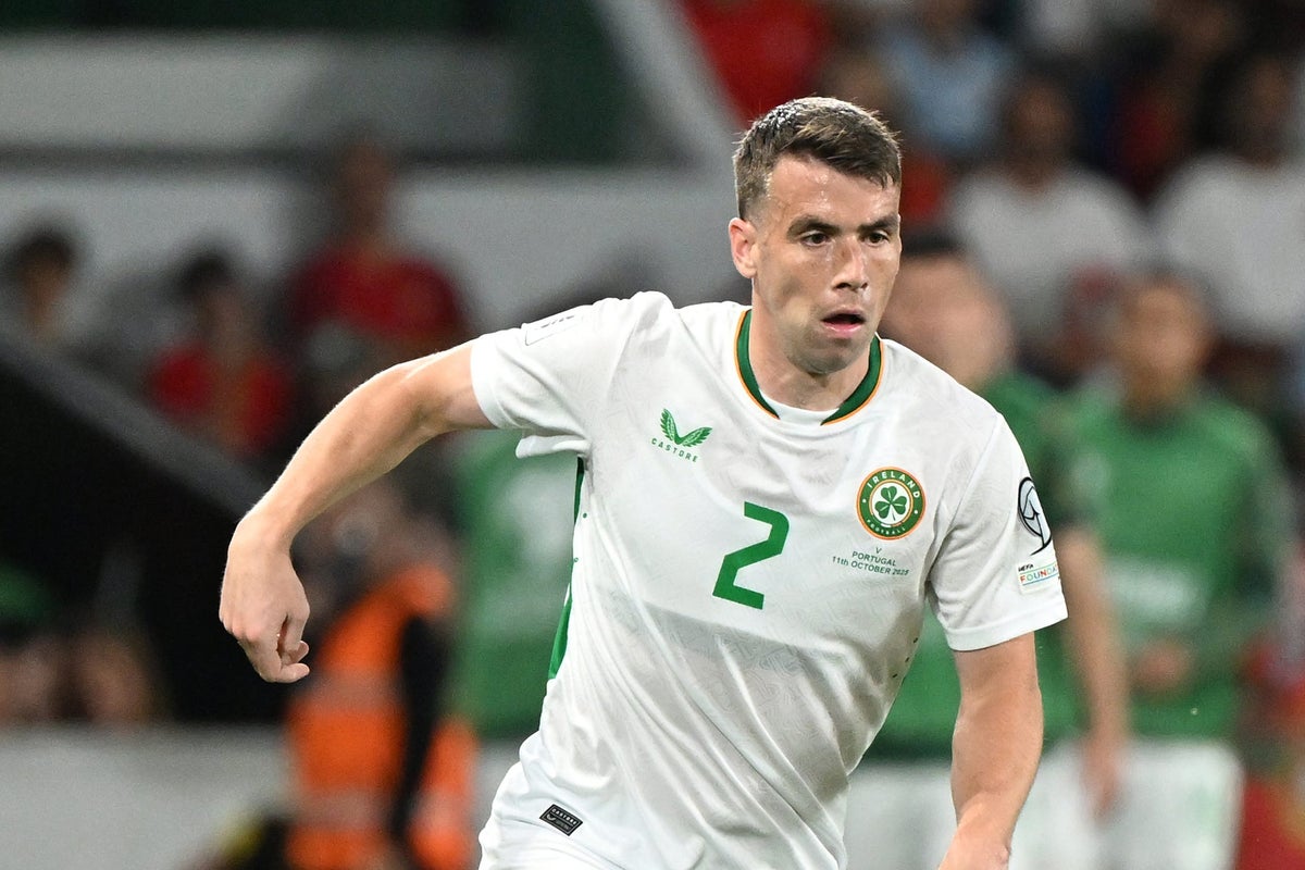 Seamus Coleman urges team-mates to handle pressure of playing for Ireland