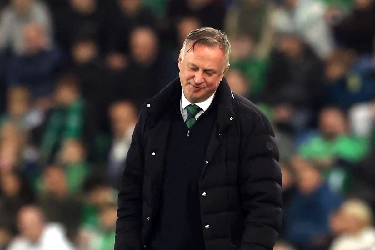 Northern Ireland boss Michael O’Neill disappointed after ‘sore loss’ to Germany