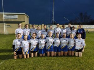 Tralee Parnells Hurling and Camogie notes