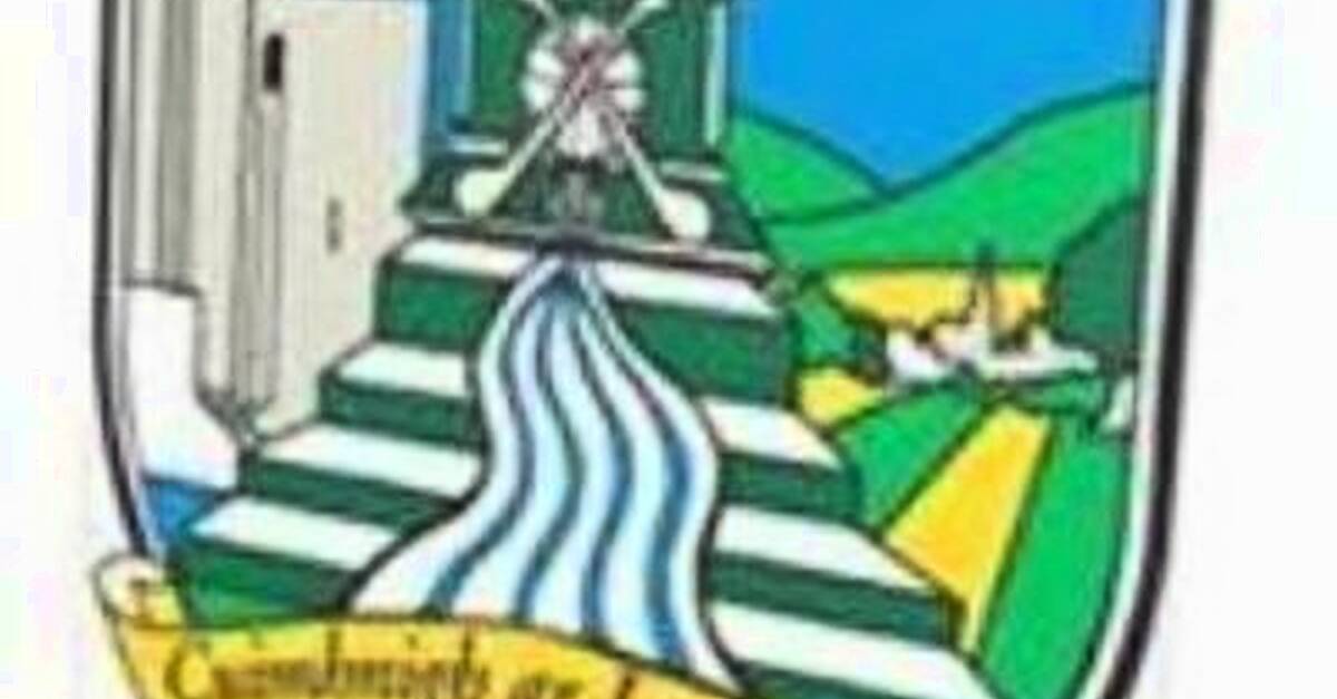 Hannon Retires From Inter County Hurling
