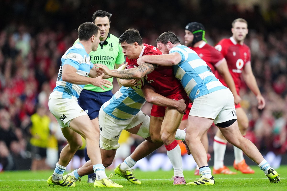 Wales fall to heavy Argentina defeat in Steve Tandy’s first match as head coach