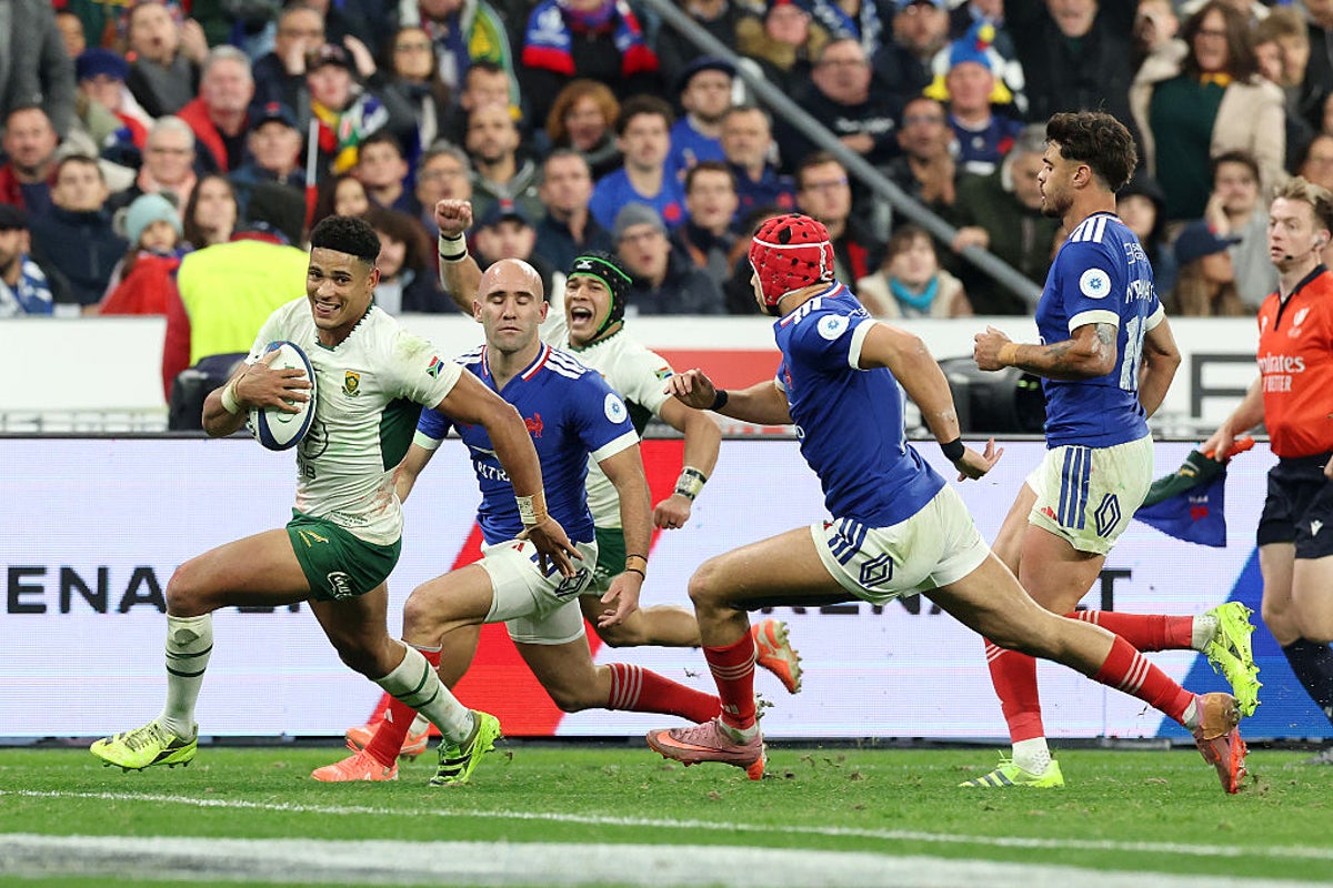 Fourteen-man South Africa dig deep to humble France