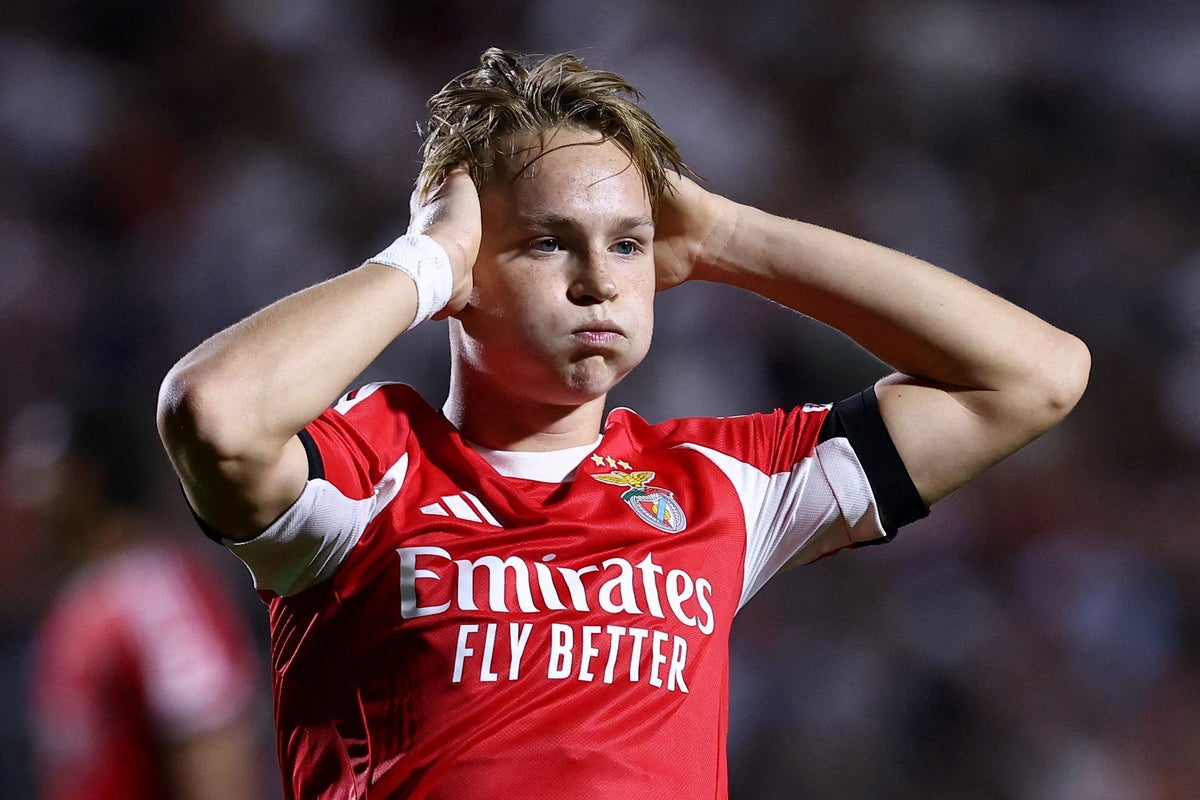 Norway international footballer found guilty of sharing illegal video on Snapchat