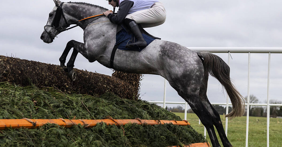 Racing Abandoned At Leopardstown