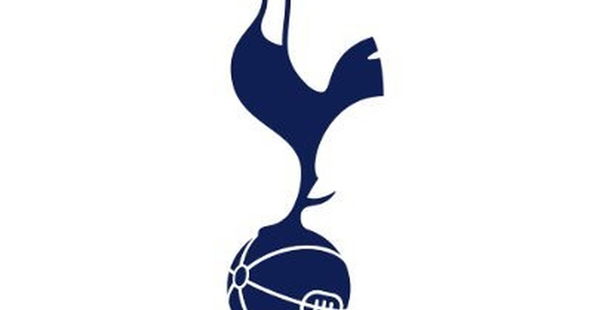 Igor Tudor leaves Tottenham