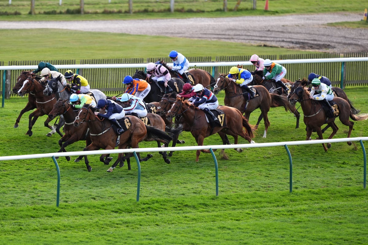 Horse racing tips: Five best bets & odds for Friday at Newmarket