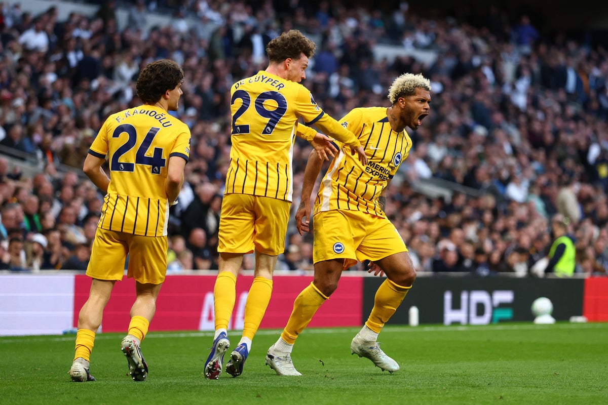 Tottenham vs Brighton LIVE: Rutter’s late equaliser leaves Spurs in bottom three