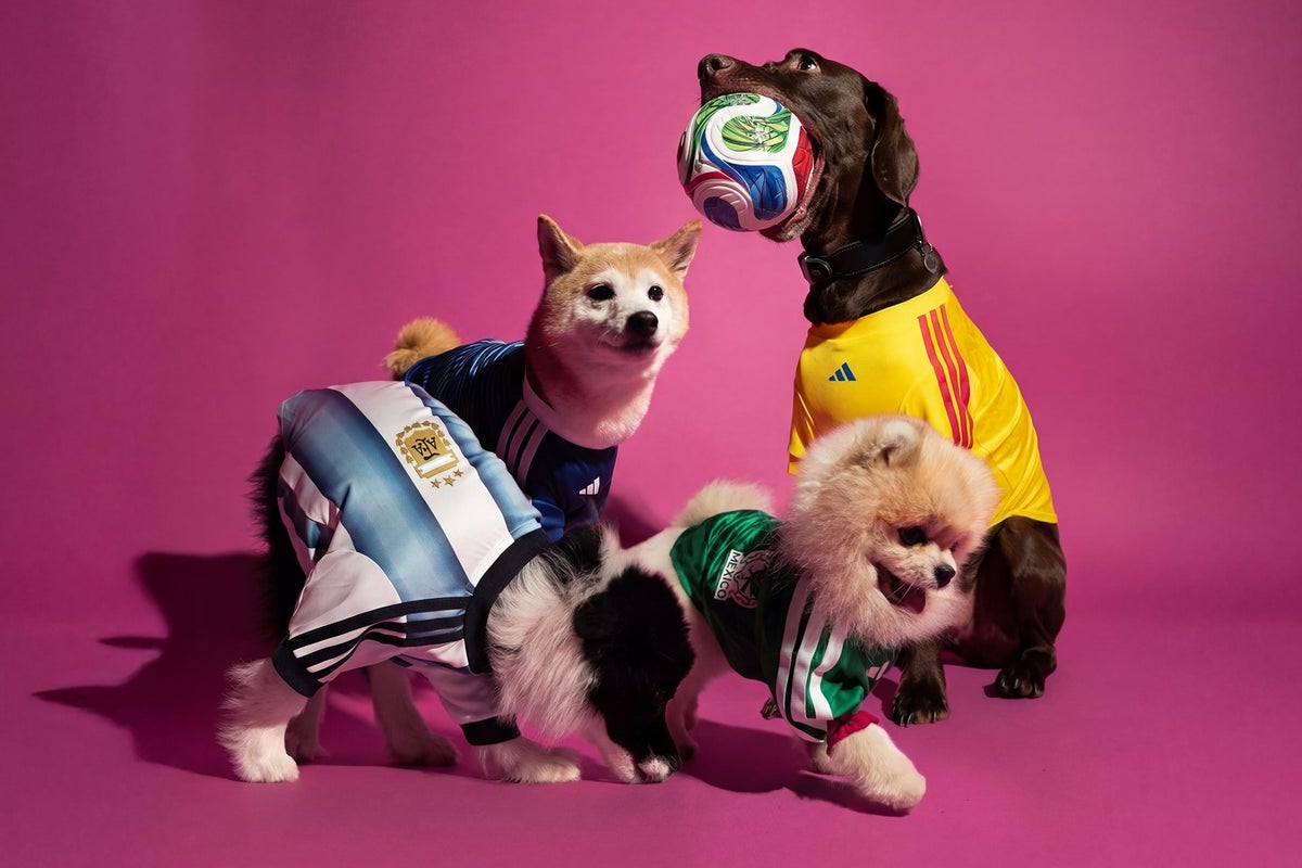 Scotland misses out on Adidas World Cup kit for dogs