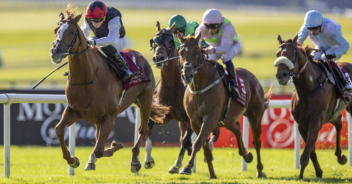 Zanoosh beaten by Le Frimeur in Punchestown