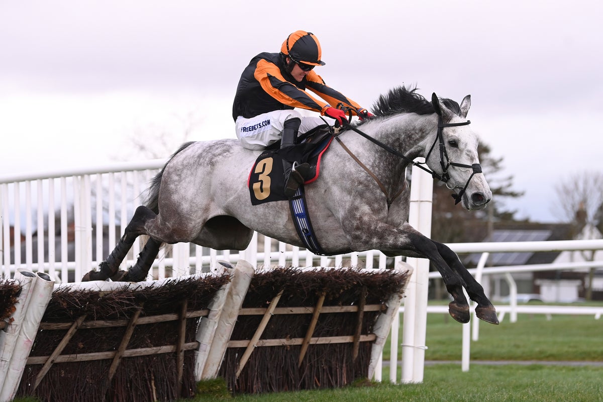 Saturday’s racing tips: Best bets and odds for Carlisle and Catterick