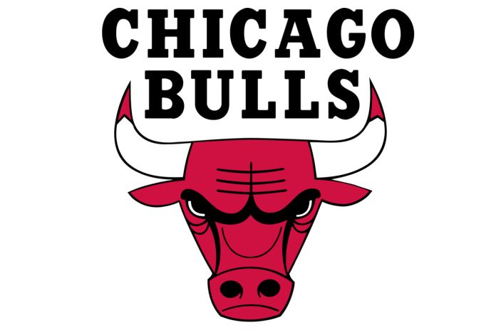 Chicago Bulls logo