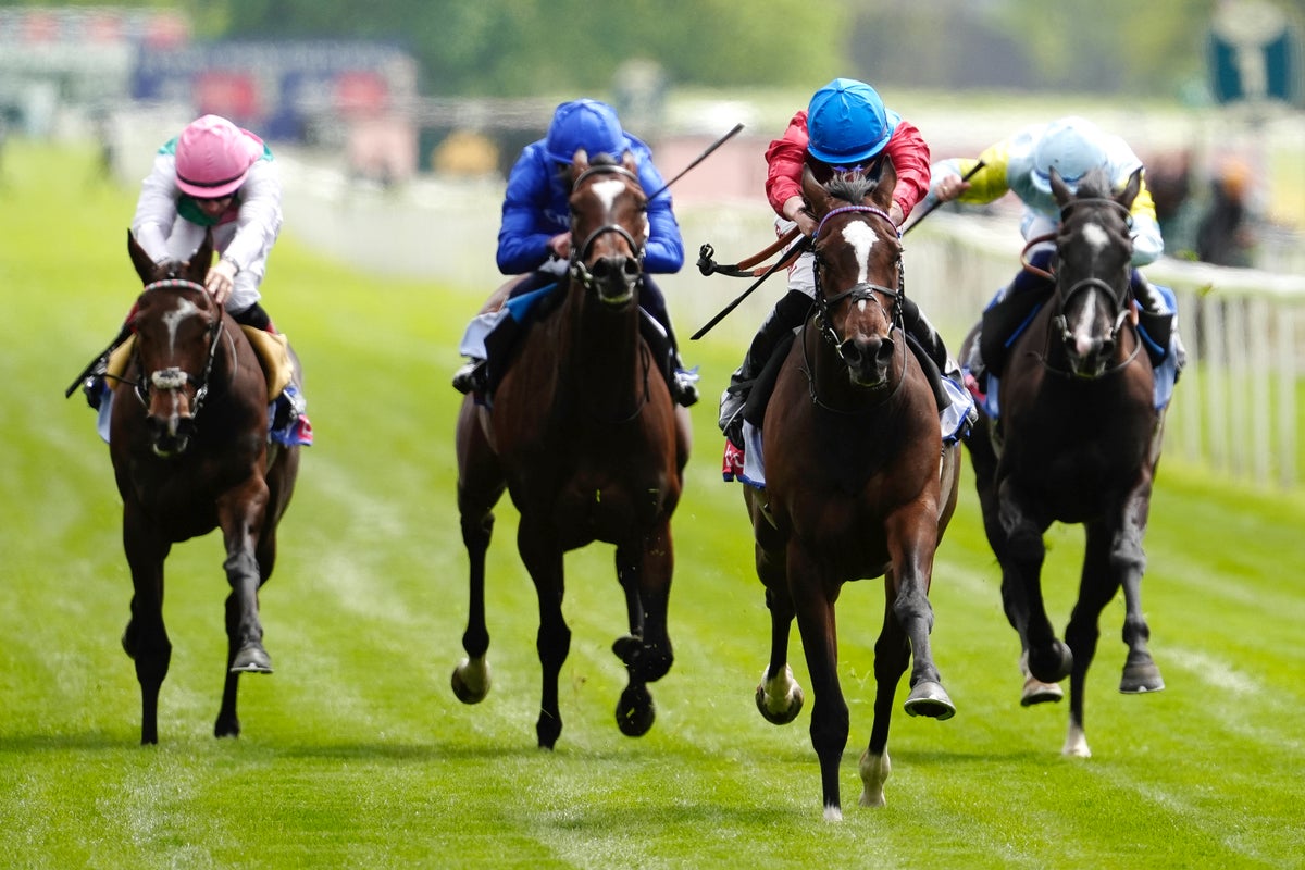 Saturday’s racing tips: Best bets and odds for Newcastle and York