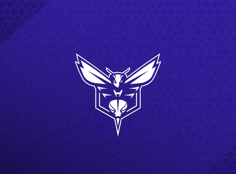 Hornets sign Michael Ajayi