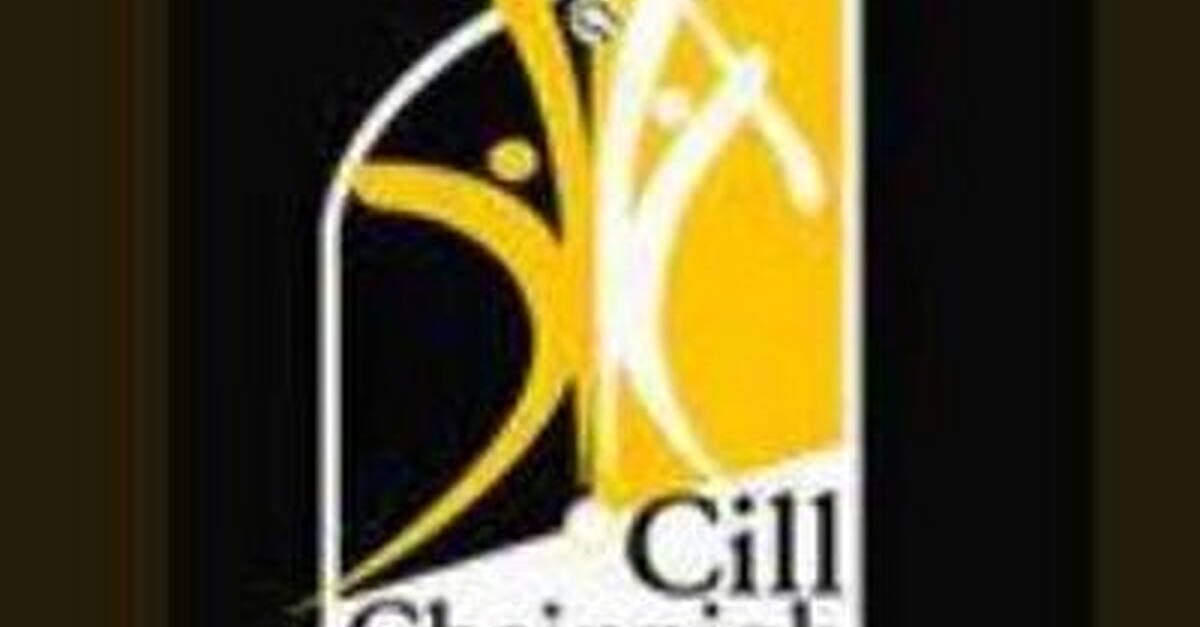 Shefflin to take charge of Kilkenny