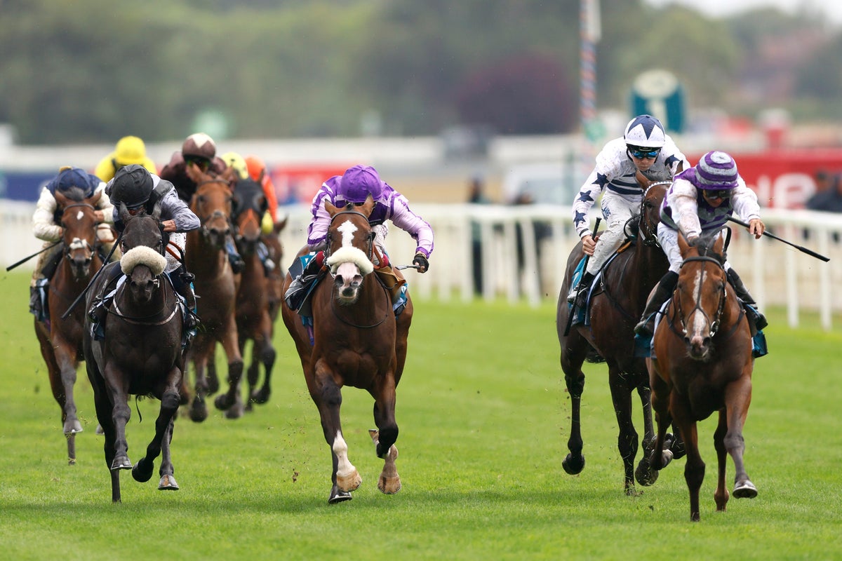 Saturday racing tips: York best bets and odds on Ebor Handicap day