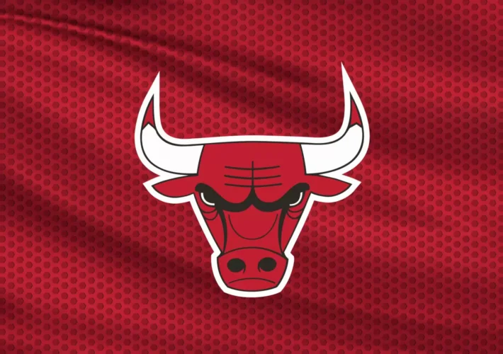 Bulls hire Jordan Brink