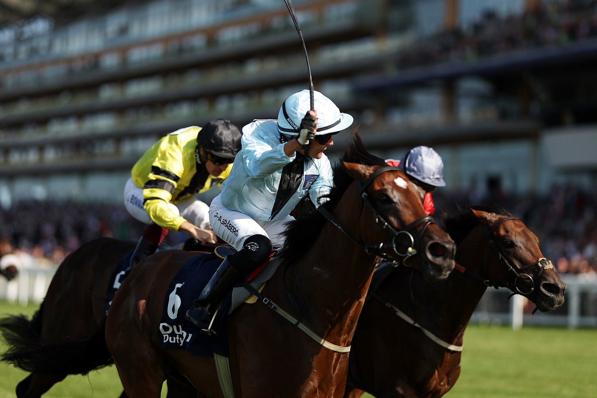 Saturday Racing Tips: Best bets for Shergar Cup day at Ascot