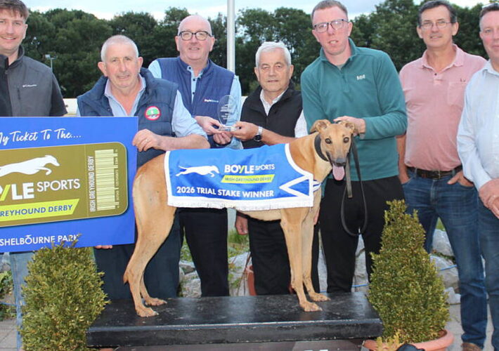 Impact Sun Books His Ticket to the BOYLE Sports Irish Greyhound Derby