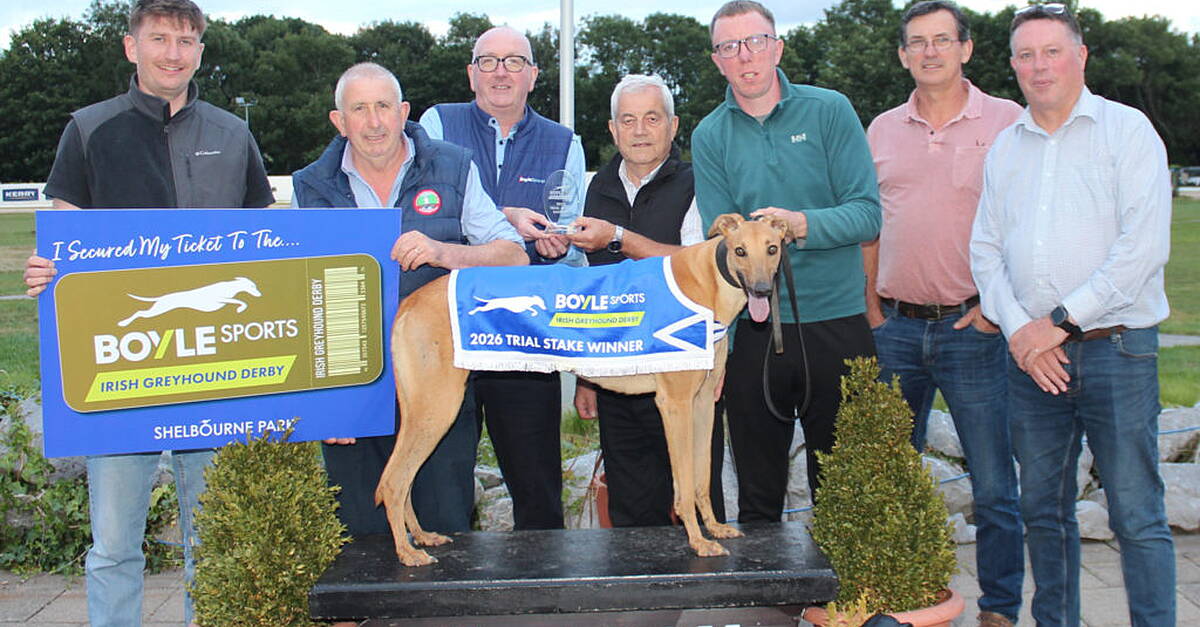 Impact Sun Books His Ticket to the BOYLE Sports Irish Greyhound Derby