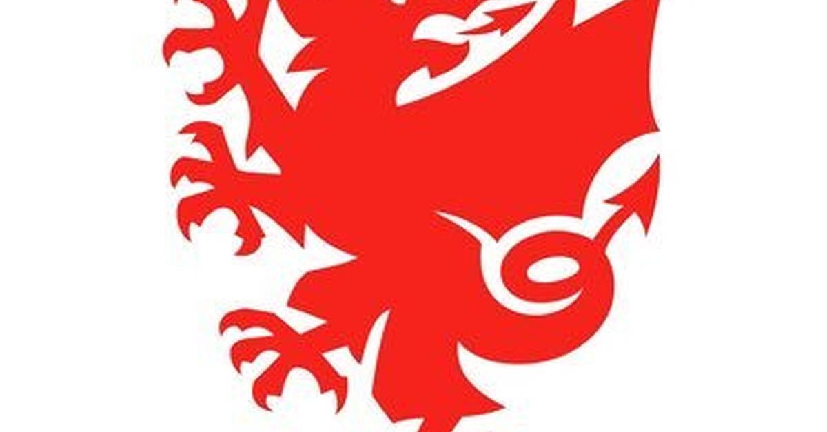Athlone man announced as assistant coach for Welsh national team