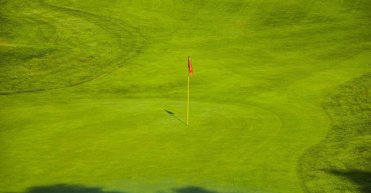 McIlroy misses out