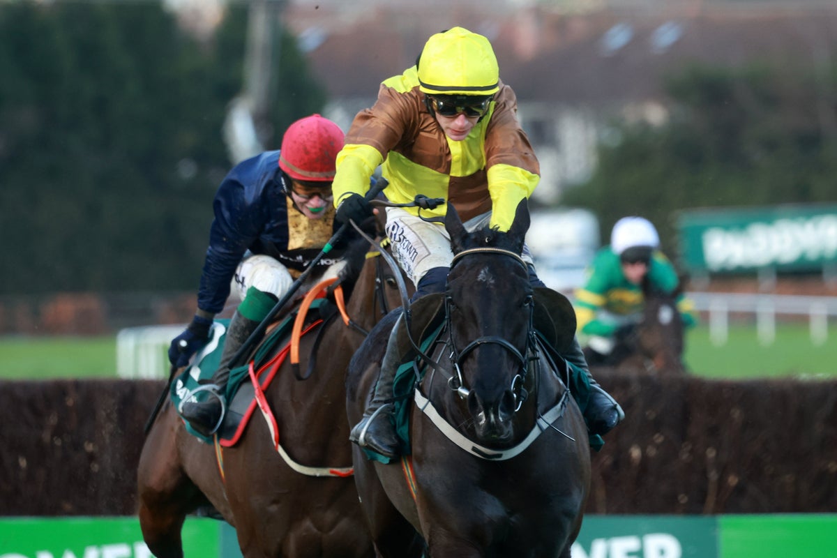 Iconic Cheltenham Gold Cup racehorse Galopin Des Champs dies aged 10