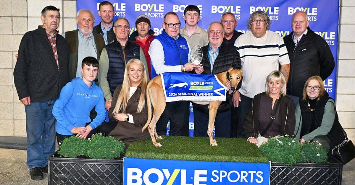 Six Book Their Places in BOYLE Sports Irish Greyhound Derby Final