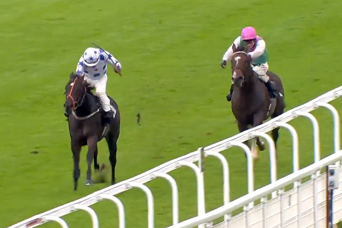 Phil Foden’s horse creates British racing history with huge Goodwood upset